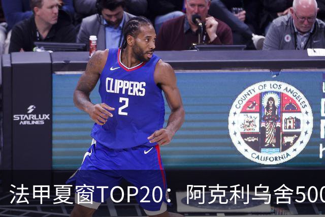 法甲夏窗TOP20：阿克利乌舍5000万欧成标王，费兰4850万欧第二